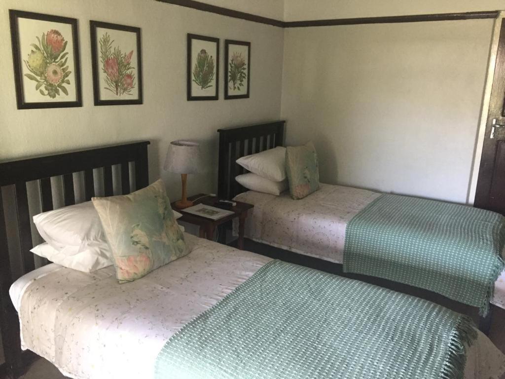 Beit Shalom Before Known As Best Little Guesthouse Oudtshoorn Ngoại thất bức ảnh