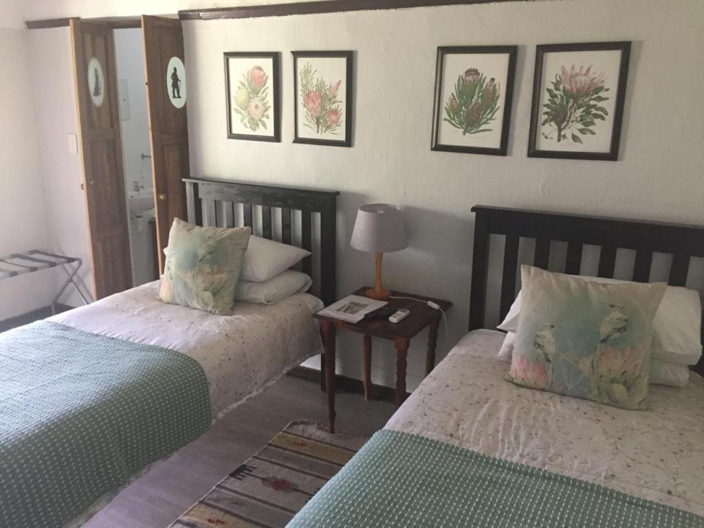 Beit Shalom Before Known As Best Little Guesthouse Oudtshoorn Ngoại thất bức ảnh