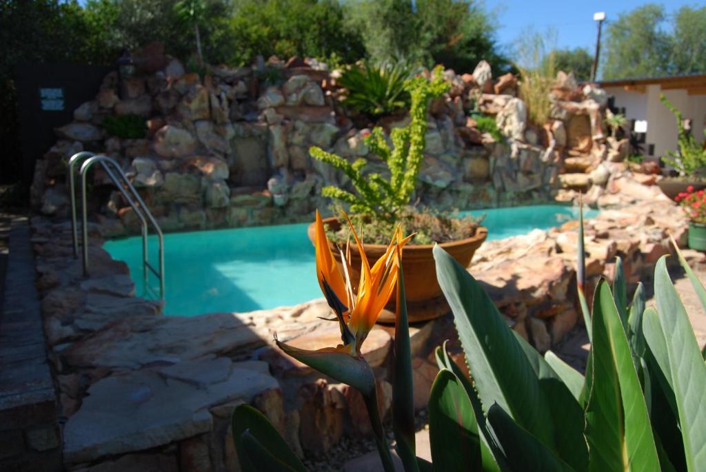 Beit Shalom Before Known As Best Little Guesthouse Oudtshoorn Ngoại thất bức ảnh